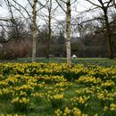 (2018-03) HK 2045 - Gütersloh - Botanischer Garten