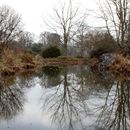 (2018-03) HK 2050 - Gütersloh - Botanischer Garten