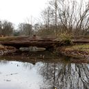 (2018-03) HK 2051 - Gütersloh - Botanischer Garten