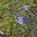 (2018-03) XK 2617 - Gütersloh - Botanischer Garten