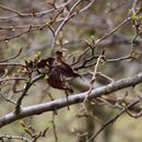 (2018-03) XK 2624 - Gütersloh - Botanischer Garten