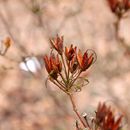 (2018-03) XK 2626 - Gütersloh - Botanischer Garten