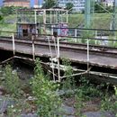 (2018-05) HK 1467 - Lost Places - Ringlokschuppen des Bayerischen Bahnhofs