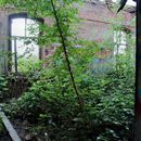 (2018-05) HK 1494 - Lost Places - Ringlokschuppen des Bayerischen Bahnhofs