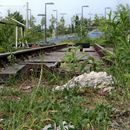 (2018-05) HK 1503 - Lost Places - Ringlokschuppen des Bayerischen Bahnhofs