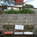 (2018-06) HK 2551 - Blütenfest Gärtnerei Straube