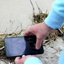 (2018-07) Rügen HK 3228 - Sonntagmorgen am Strand