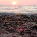 (2018-07) Rügen HK 3696 - Am Kreptitzer Strand