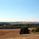 (2018-07) Rügen XK 0242 - Göhren - Blick übers Mönchsgut