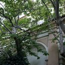 (2018-09) Prag HK FR 255 - im Palais Waldstein