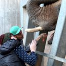 (2018-10) HK 4917 - Hexengeburtsag und Bergzoo Halle