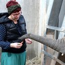 (2018-10) HK 4946 - Hexengeburtsag und Bergzoo Halle