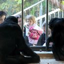 (2018-10) HK 5034 - Hexengeburtsag und Bergzoo Halle