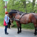 (2019-05) HK 2548 - Moritzburg - Kutschfahrt zum Bahnhof