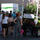 (2019-06) HK 3246 - Bad Dürrenberger Brunnenfest - Gärtnerei Straube - orig