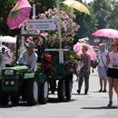 (2019-06) HK 3400 - Bad Dürrenberger Brunnenfest - Gärtnerei Straube - orig