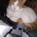 (2019-06) RM7 012 - Pepito am Rucksack