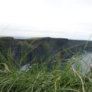 (2019-10) Irland HK 23636 - Cliffs of Moher