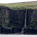 (2019-10) Irland HK 23708 - Bootstour zu den Cliffs of Moher