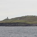 (2019-10) Irland HK 23709 - Bootstour zu den Cliffs of Moher