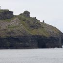 (2019-10) Irland HK 23717 - Bootstour zu den Cliffs of Moher