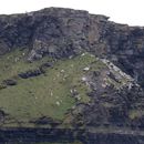 (2019-10) Irland HK 23720 - Bootstour zu den Cliffs of Moher