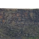 (2019-10) Irland HK 23722 - Bootstour zu den Cliffs of Moher