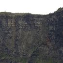 (2019-10) Irland HK 23723 - Bootstour zu den Cliffs of Moher