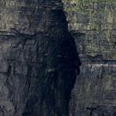 (2019-10) Irland HK 23729 - Bootstour zu den Cliffs of Moher