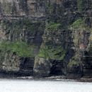 (2019-10) Irland HK 23732 - Bootstour zu den Cliffs of Moher