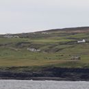 (2019-10) Irland HK 23737 - Bootstour zu den Cliffs of Moher