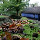 (2019-10) Irland HK 23778 - Bunratty Castle, Claire