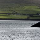 (2019-10) Irland HK 33805 - Coumeenoole South, Dingle