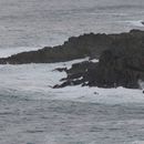 (2019-10) Irland HK 33829 - Clogher Bay, Dingle