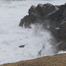 (2019-10) Irland HK 33843 - Clogher Bay, Dingle