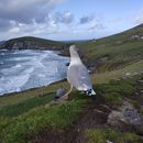 (2019-10) Irland HK 387 - Ballynaraha North, Dingle