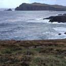 (2019-10) Irland HK 397 - Clogher Bay, Dingle