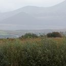 (2019-10) Irland HK 44166 - The Red Fox Inn, Quaybaun