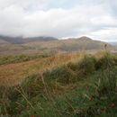 (2019-10) Irland HK 44223 - Muckross Lake, Ring of Kerry