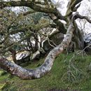 (2019-10) Irland HK 457 - Ring of Kerry, Muckross Lake