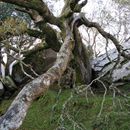 (2019-10) Irland HK 458 - Ring of Kerry, Muckross Lake