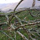 (2019-10) Irland HK 459 - Ring of Kerry, Muckross Lake