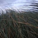 (2019-10) Irland HK 488 - Ballyheigue Beach