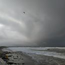 (2019-10) Irland HK 499 - Ballyheigue Beach