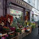 (2019-10) Irland HK 54315 - Kinsale, Galway