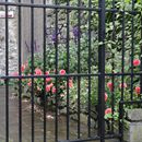 (2019-10) Irland HK 64465 - an der St. Canice Church, Kilkenny