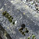 (2019-10) Irland HK 64477 - an der St. Canice Church, Kilkenny