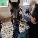 (2023-05-27 ) - 0071 - Clarholz - Besuch auf der Ranch