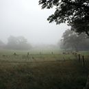 (2023-09-11) Rügen 2906 - Morgenstimmung im Jasmund