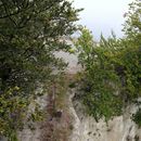 (2023-09-11) Rügen 2941 - Blick vom Königsstuhl-Skywalk